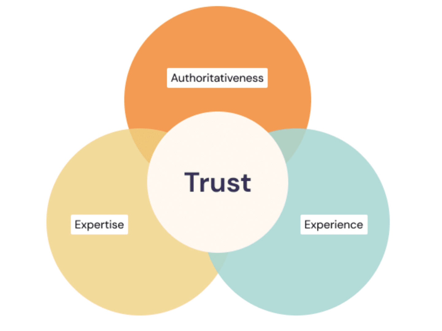 Erfahrung, Expertise, Autorität und Vertrauen