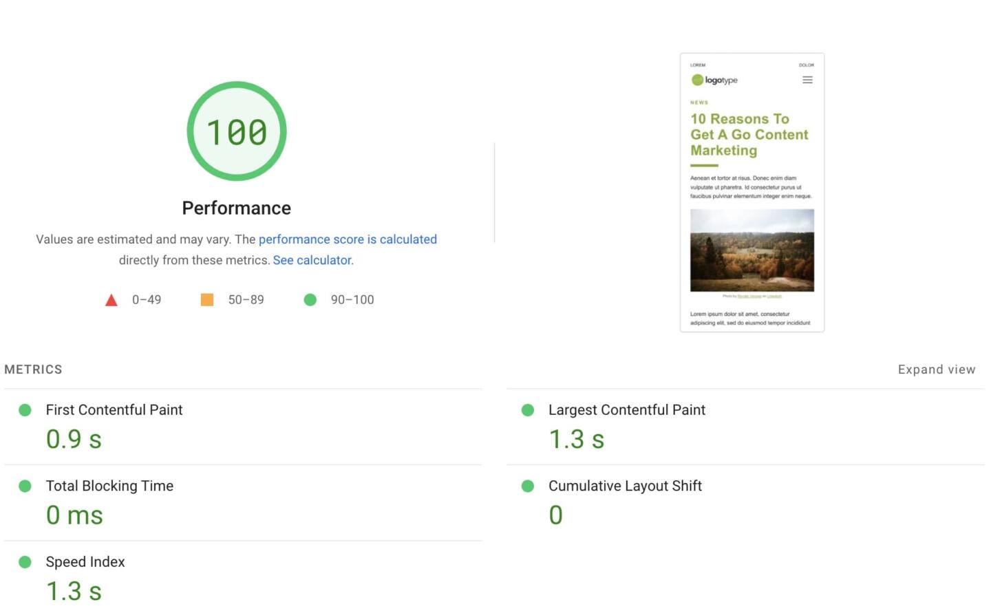 FPS Theme Page Speed Insights